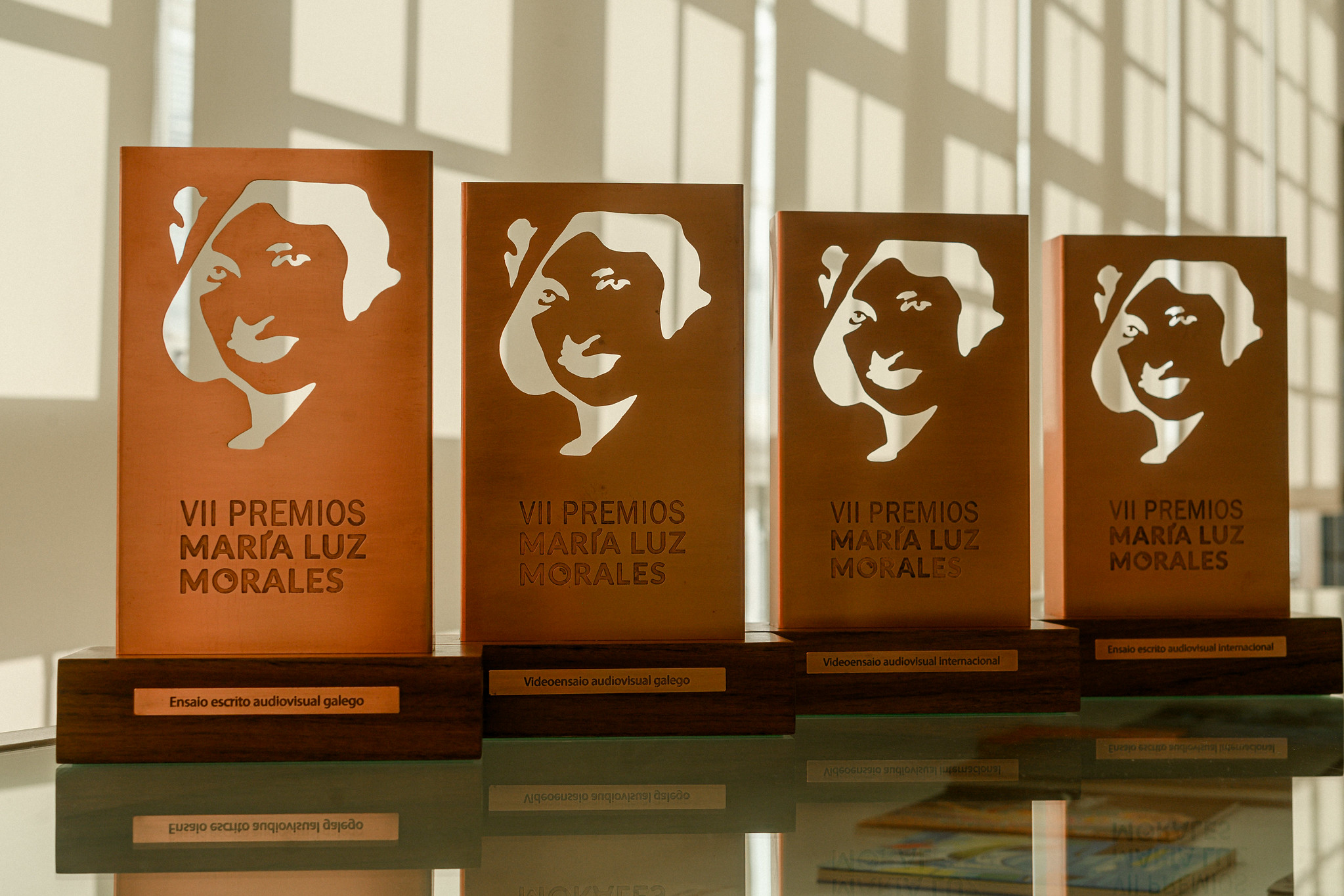 VIII edición dos Premios María Luz Morales