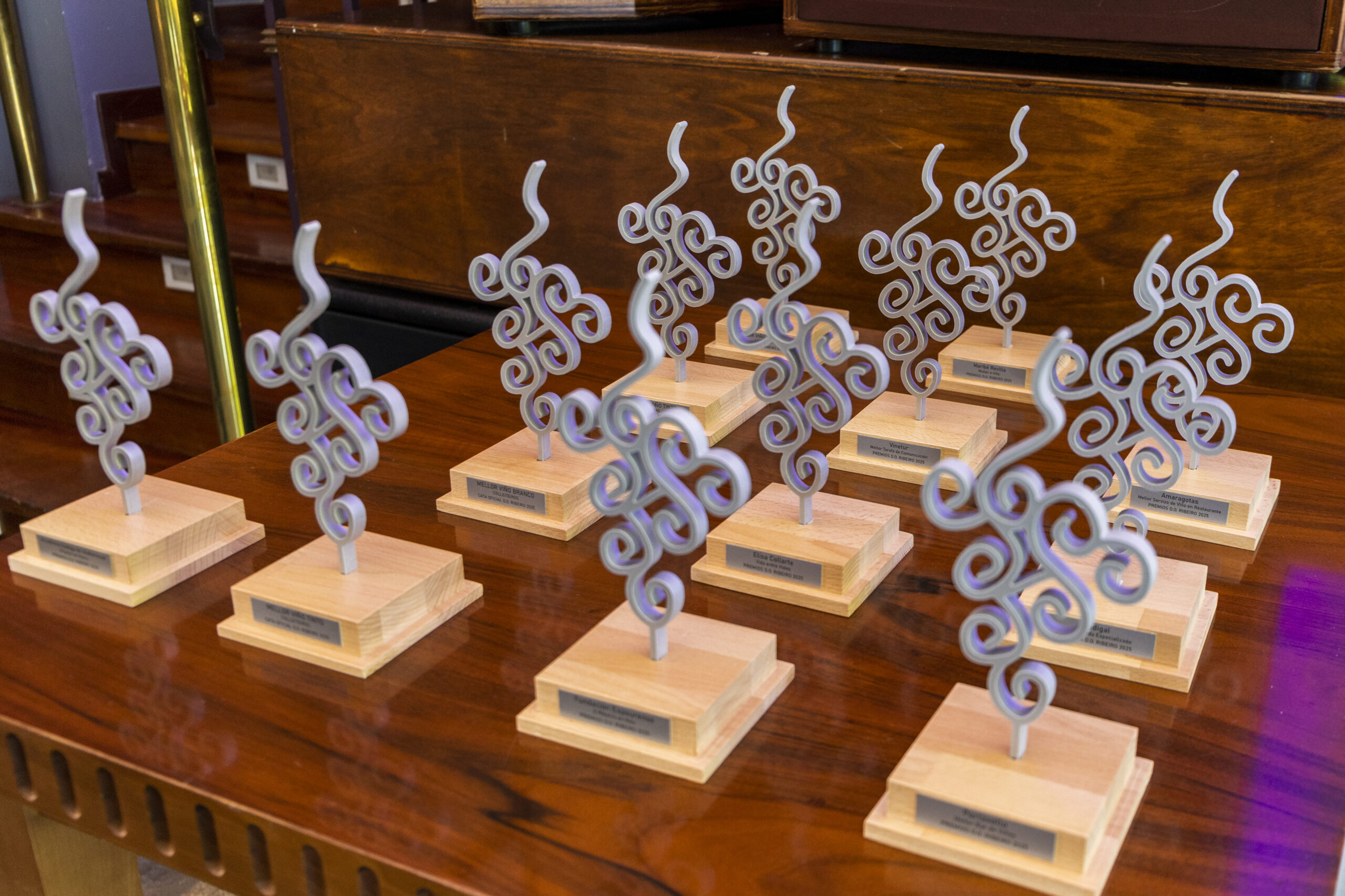 Asociación Proxecto Máscaras: Premio ás boas prácticas en educación e cultura inclusiva do proxecto Un Día de Cine (2017)